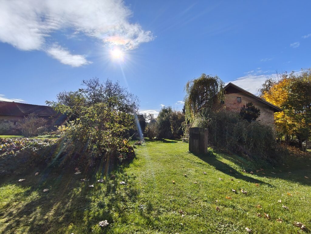 Křečovice 16